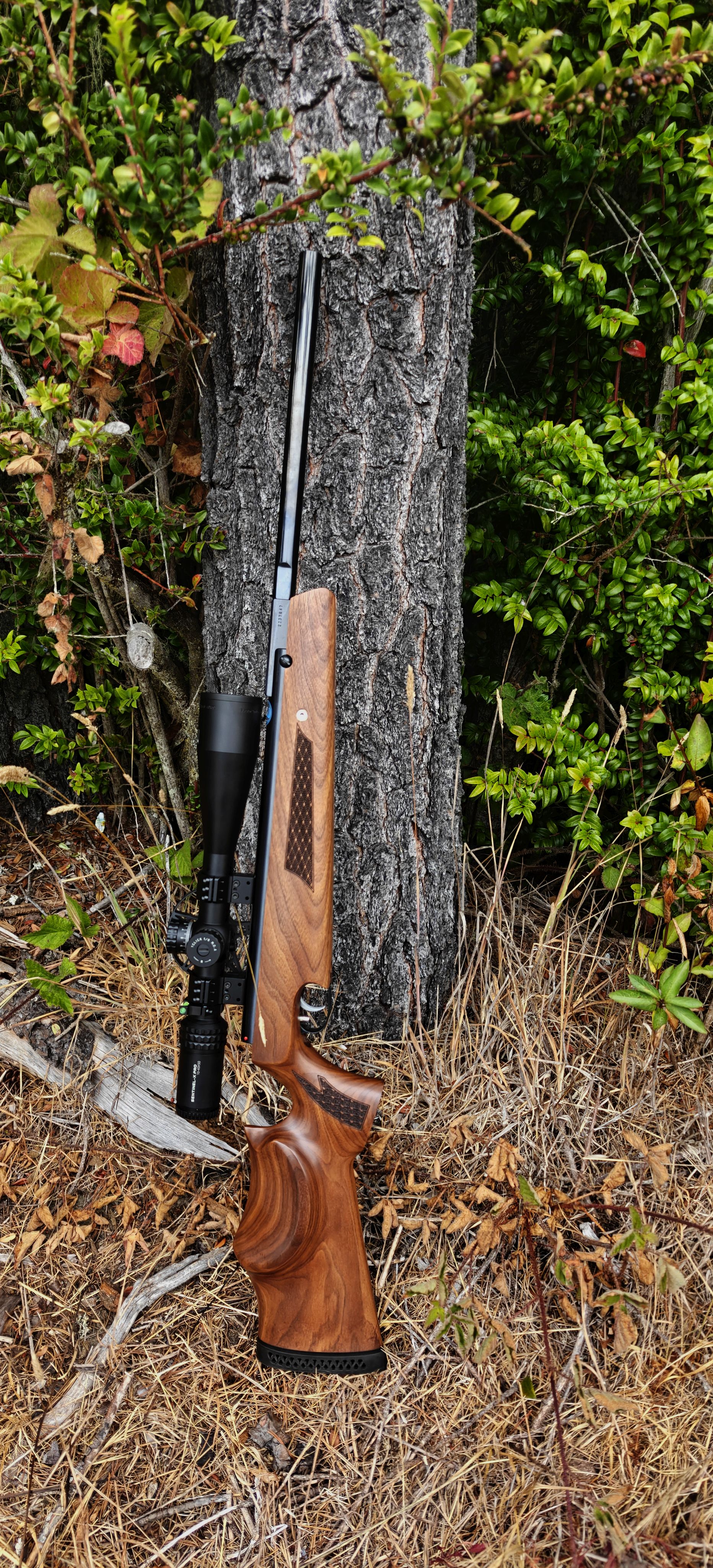 HW98 1.jpg