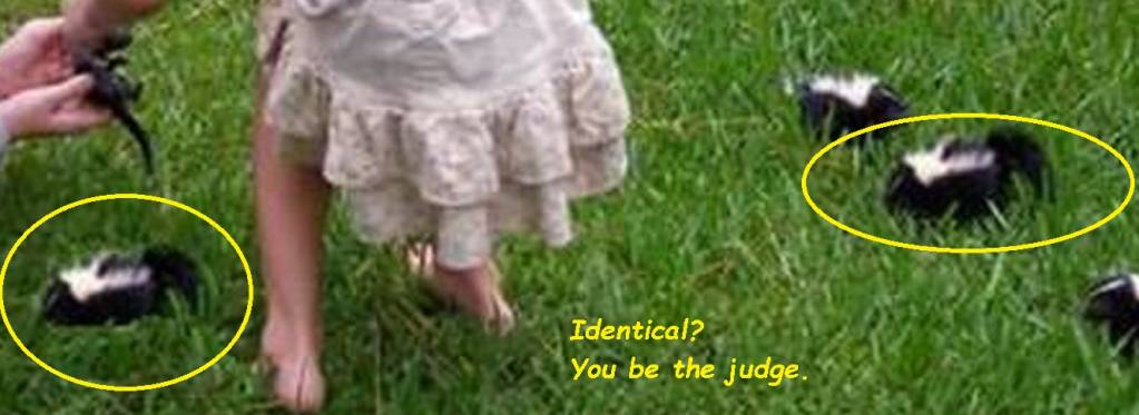 Identical.1627330559.jpg