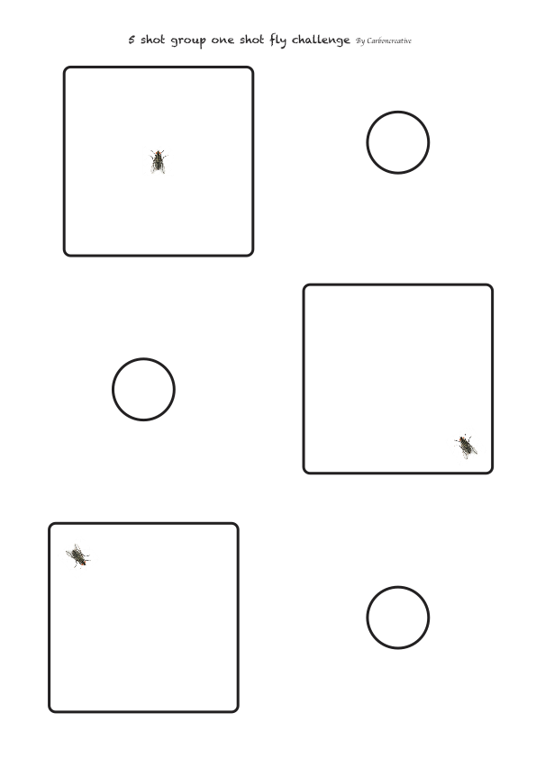 IEBR 5 shot group 1 shot fly challenge-AGN Fly Target.1624652326.png
