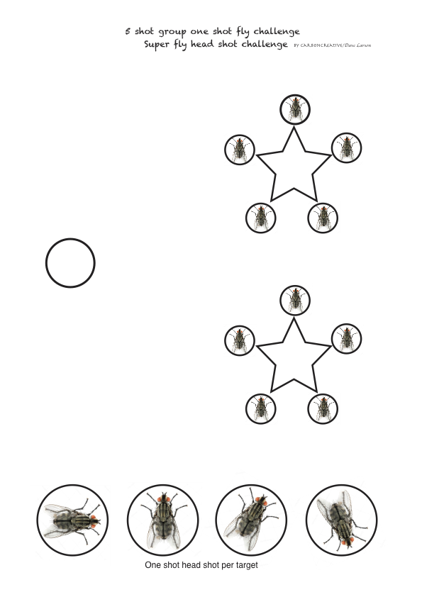 IEBR Super fly head shot -AGN Fly Target.1624652342.png