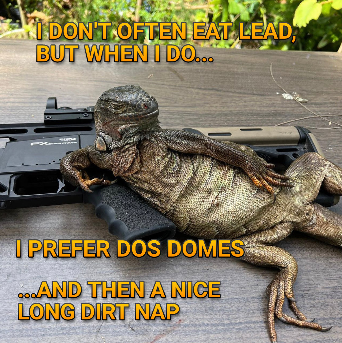 Iguanas Prefer Dos Domes.jpg