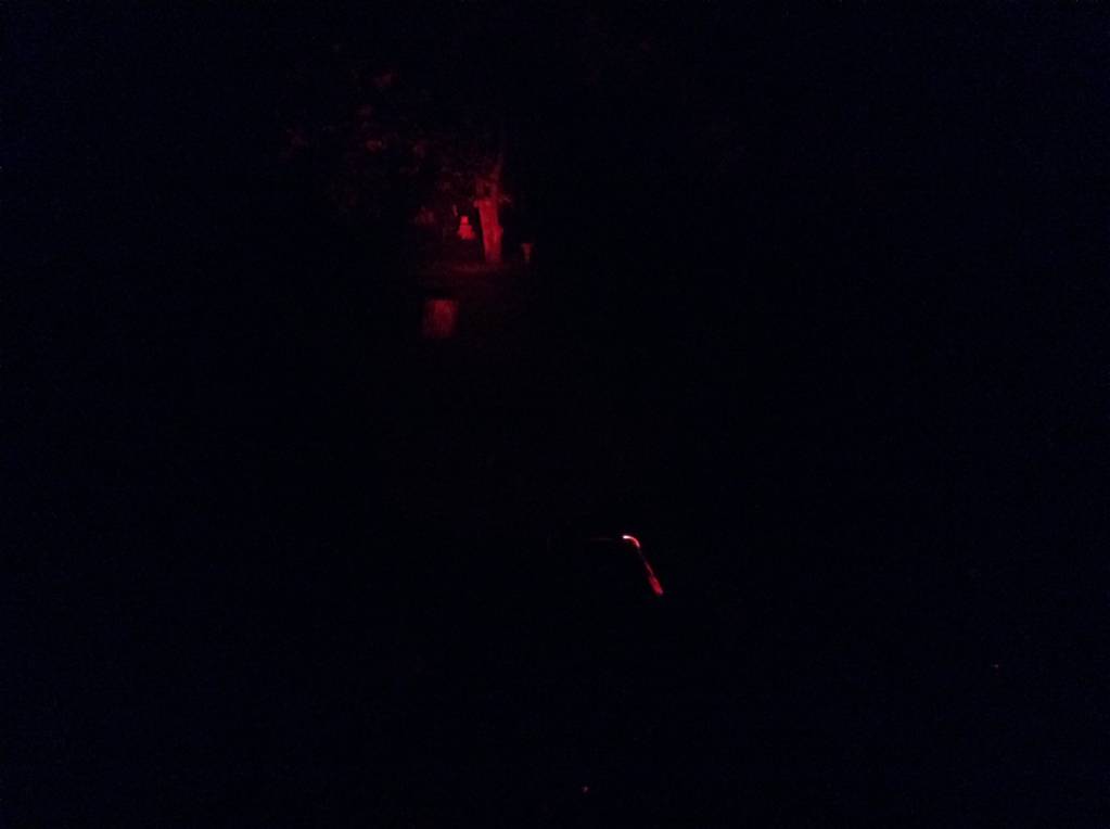 image.1633650024.jpeg
