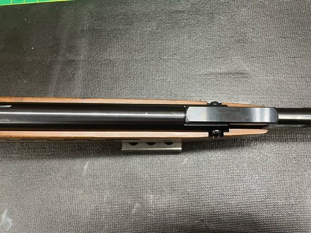 image9 (1).jpeg