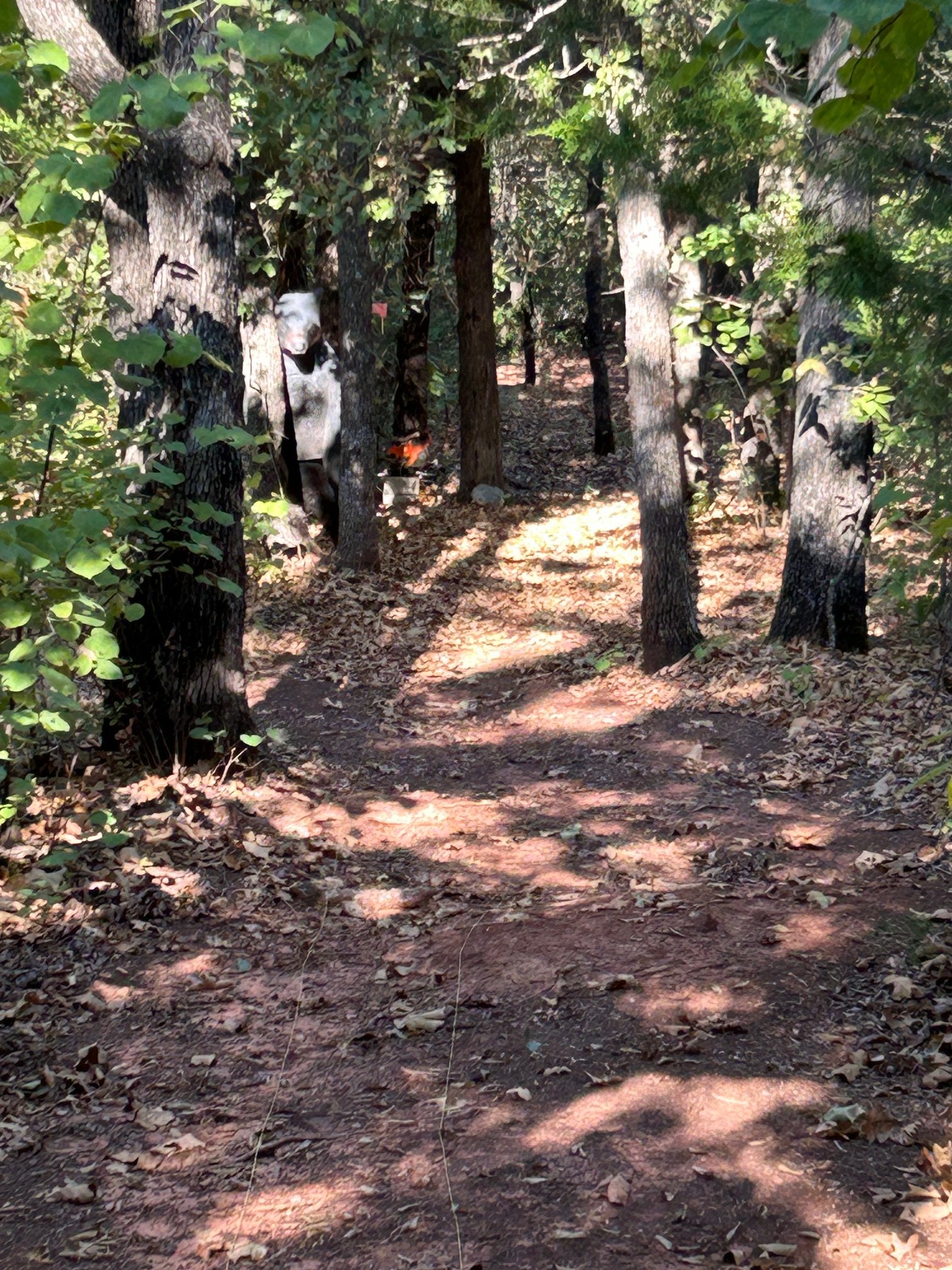 image9 (1).jpeg