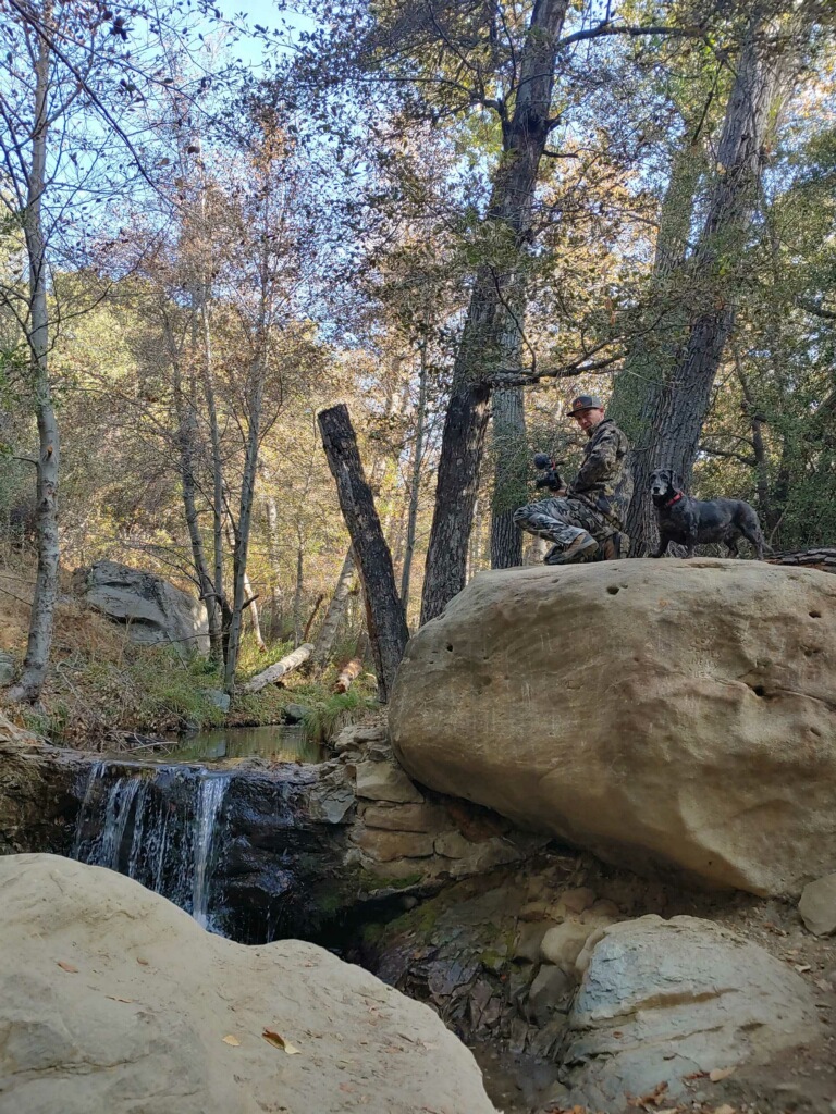 imagejpeg_0_15.1605541894.jpg