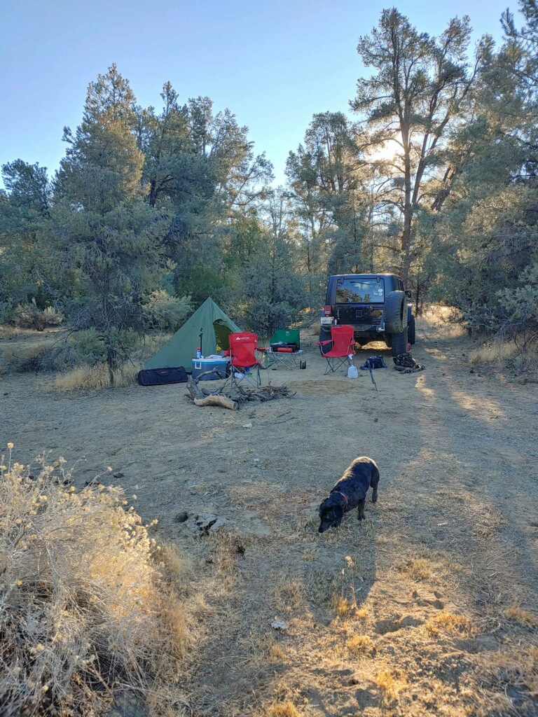imagejpeg_0_17.1605541916.jpg