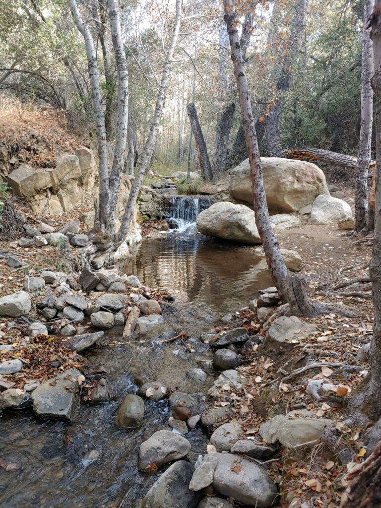 imagejpeg_0_18.1605541873.jpg