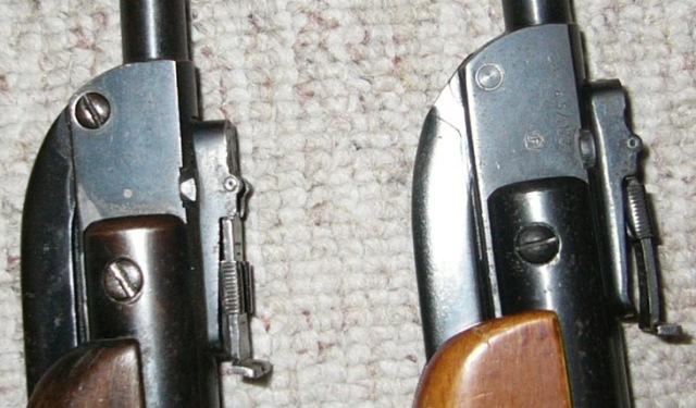 imagen31.JPG