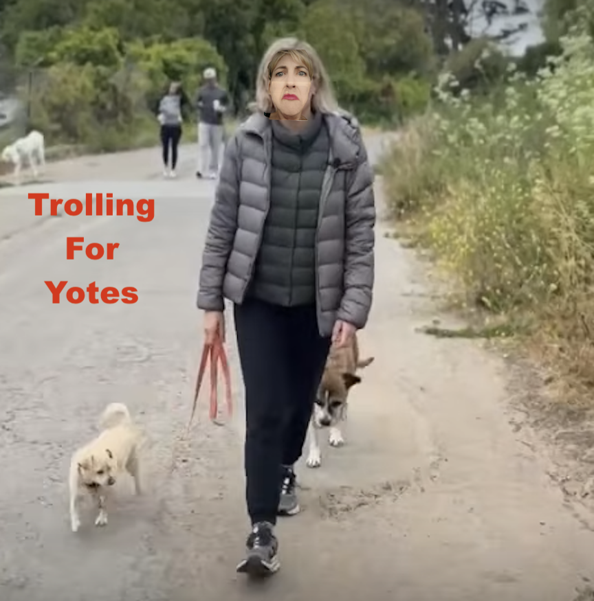 img-TrollingForYotes.png