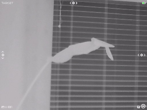 IMG001.jpeg