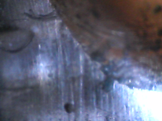 IMG110101-002128F.JPG
