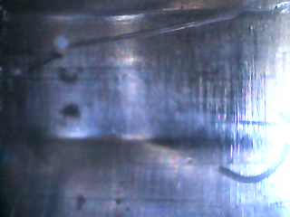 IMG110101-002235F.JPG
