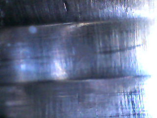 IMG110101-002241F.JPG