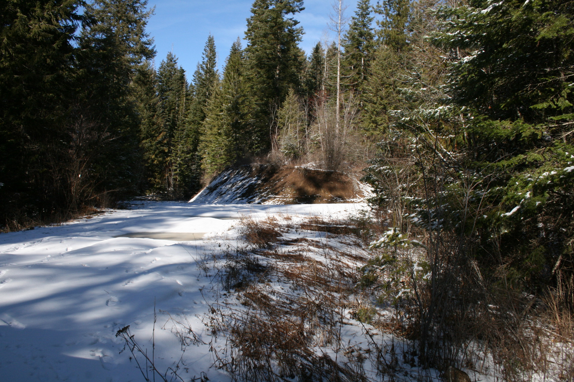 IMG_0034.JPG