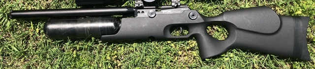 IMG_0240.jpeg