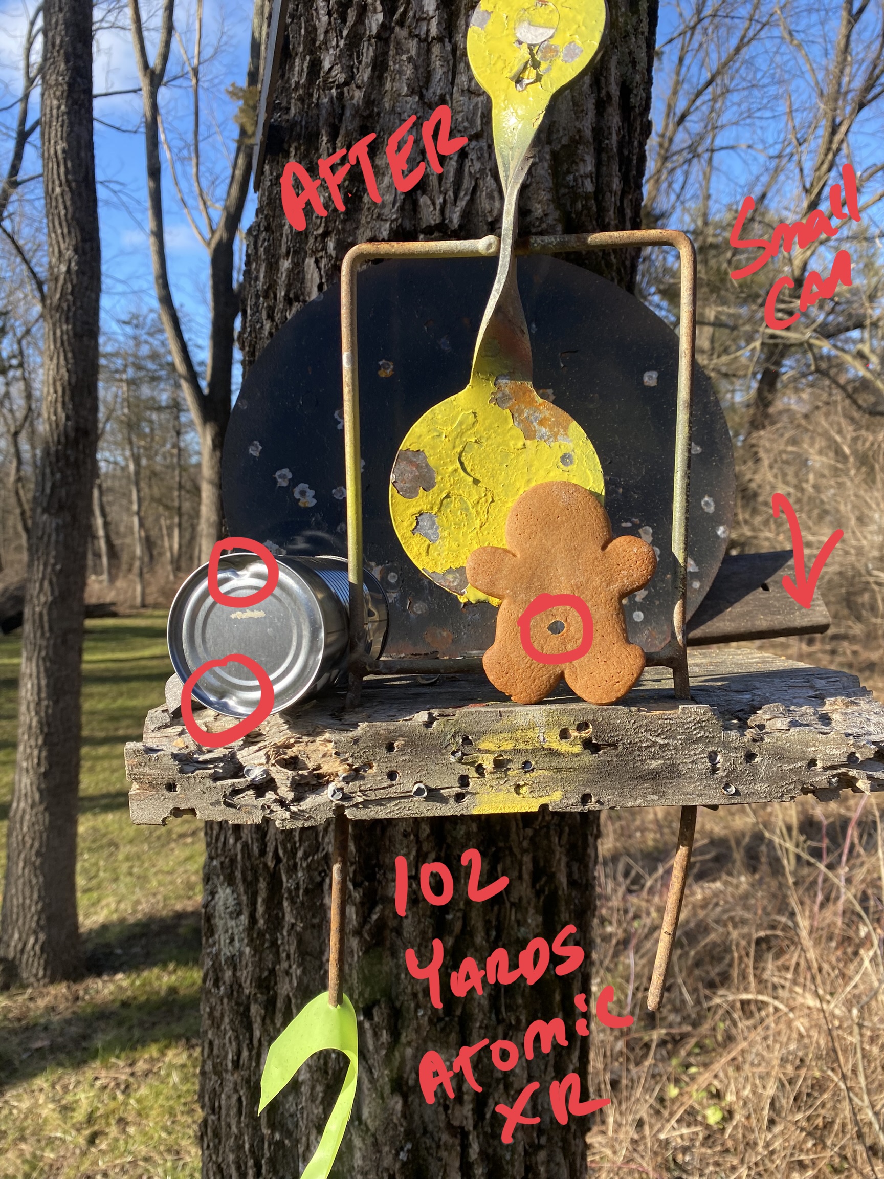 IMG_0404.jpeg