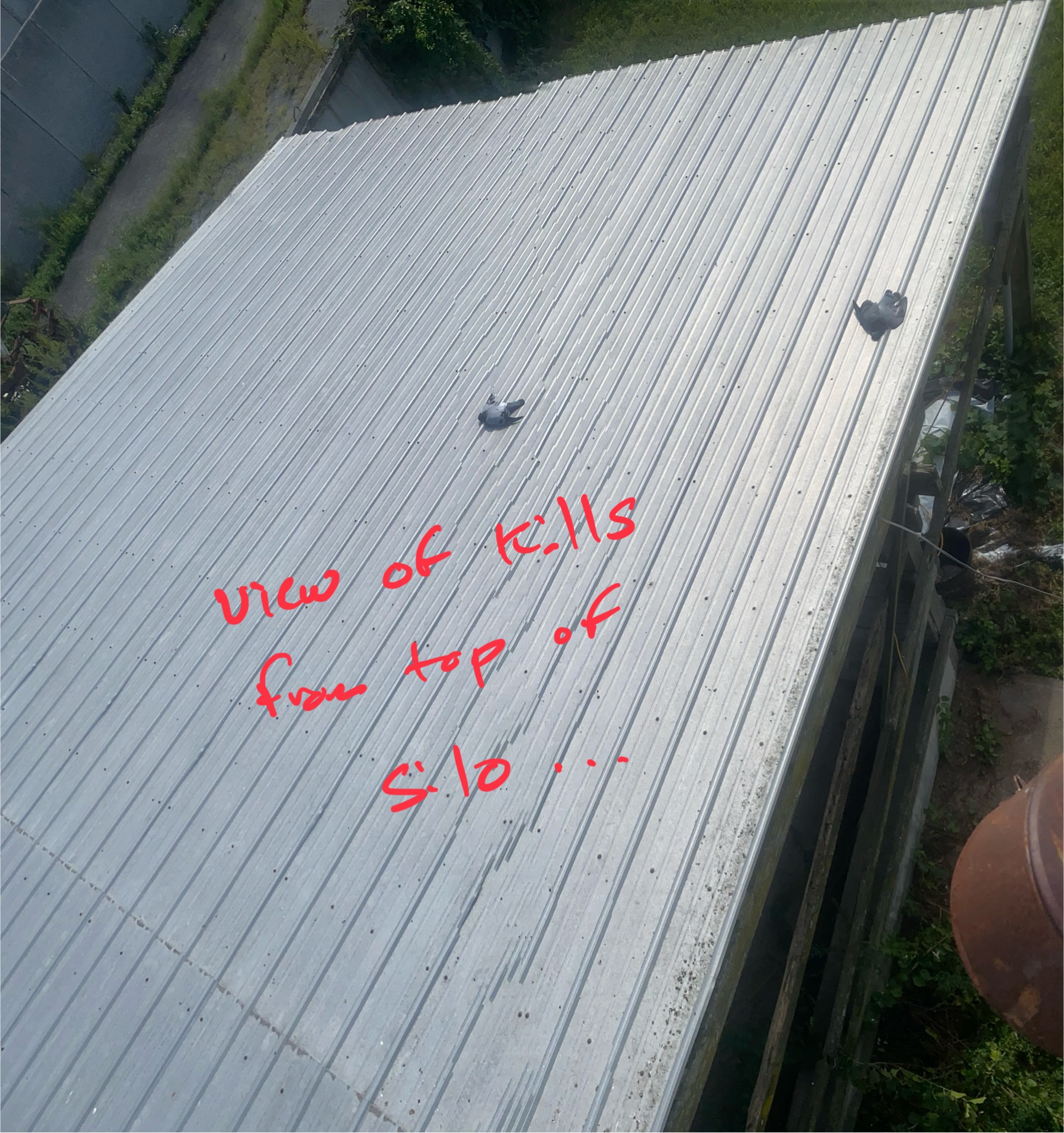IMG_0515.jpeg