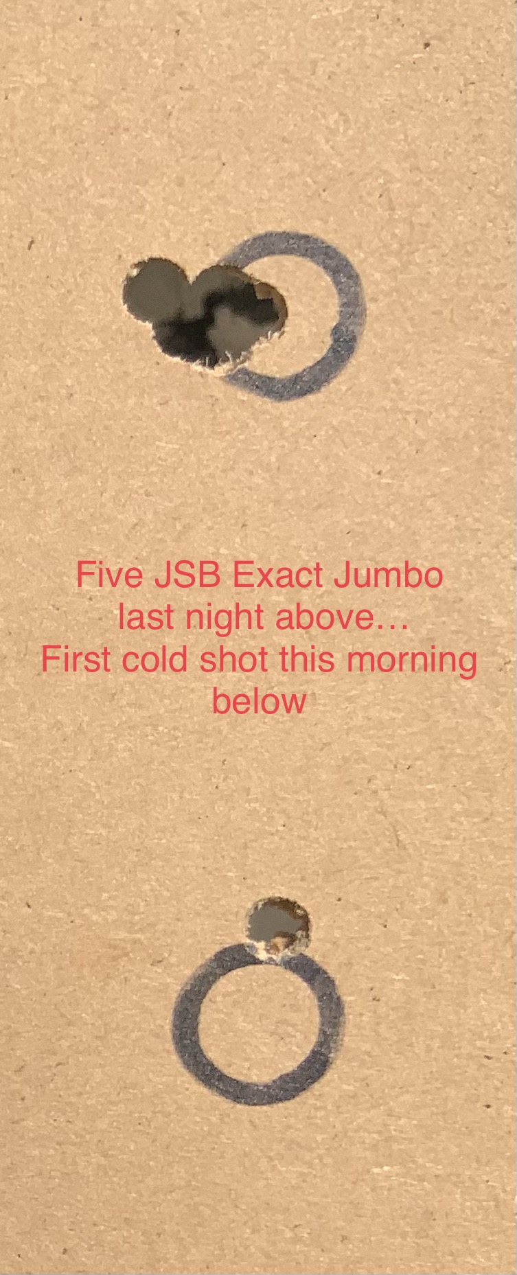 IMG_0668.jpeg
