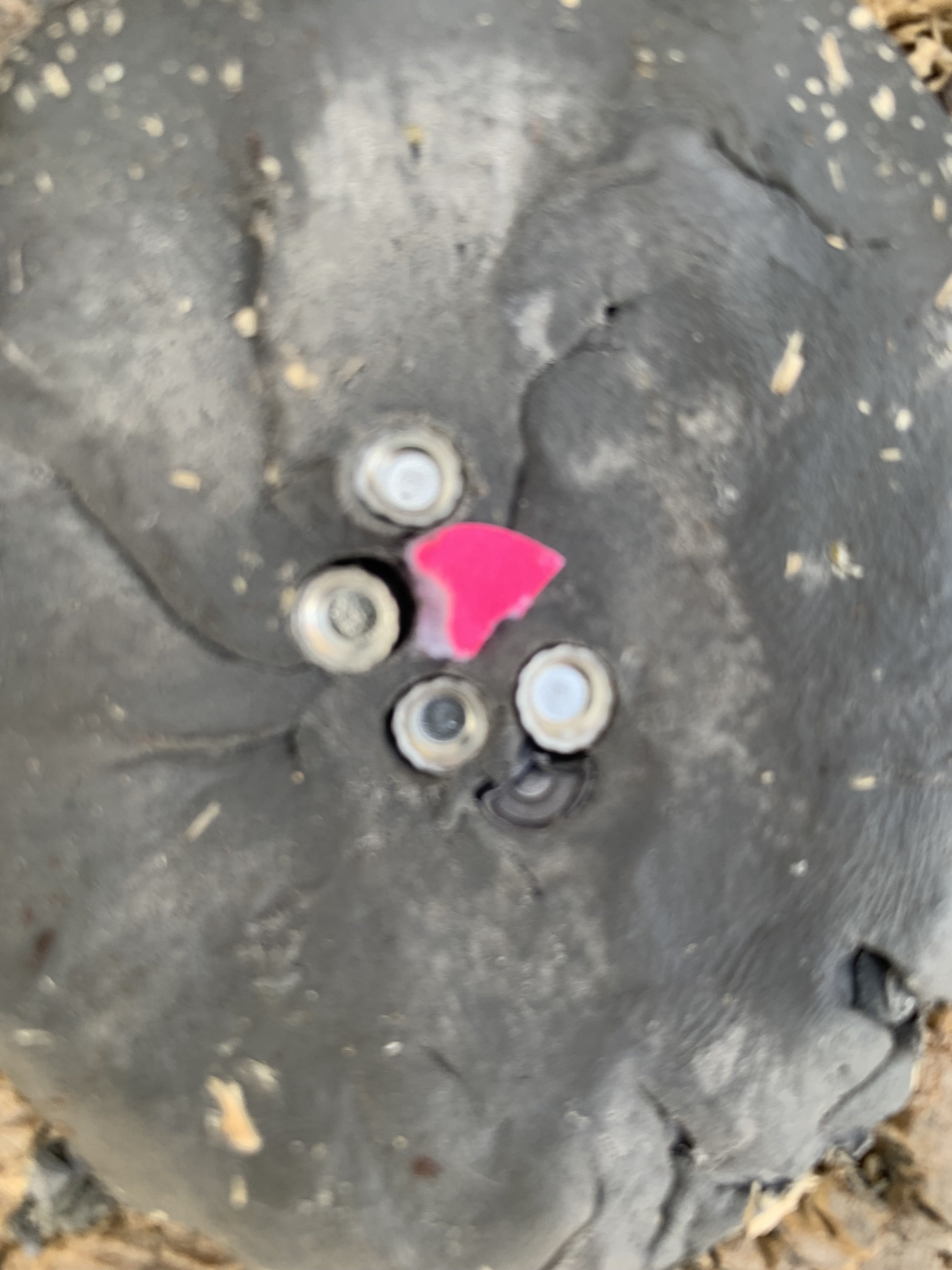 IMG_0674.jpeg