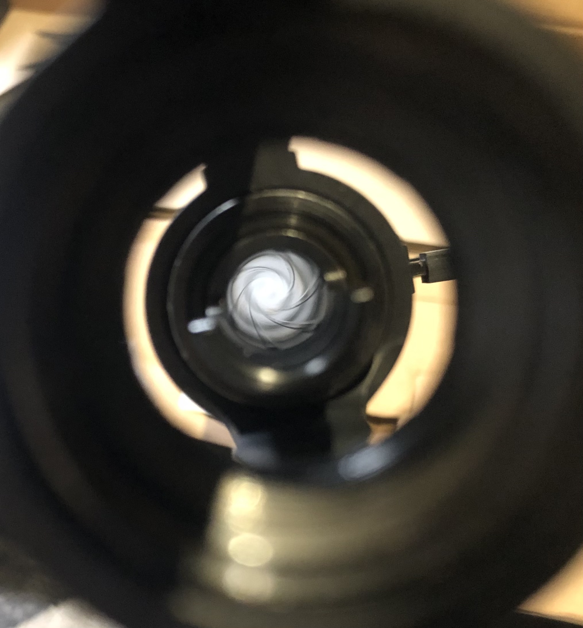 IMG_0810.jpeg