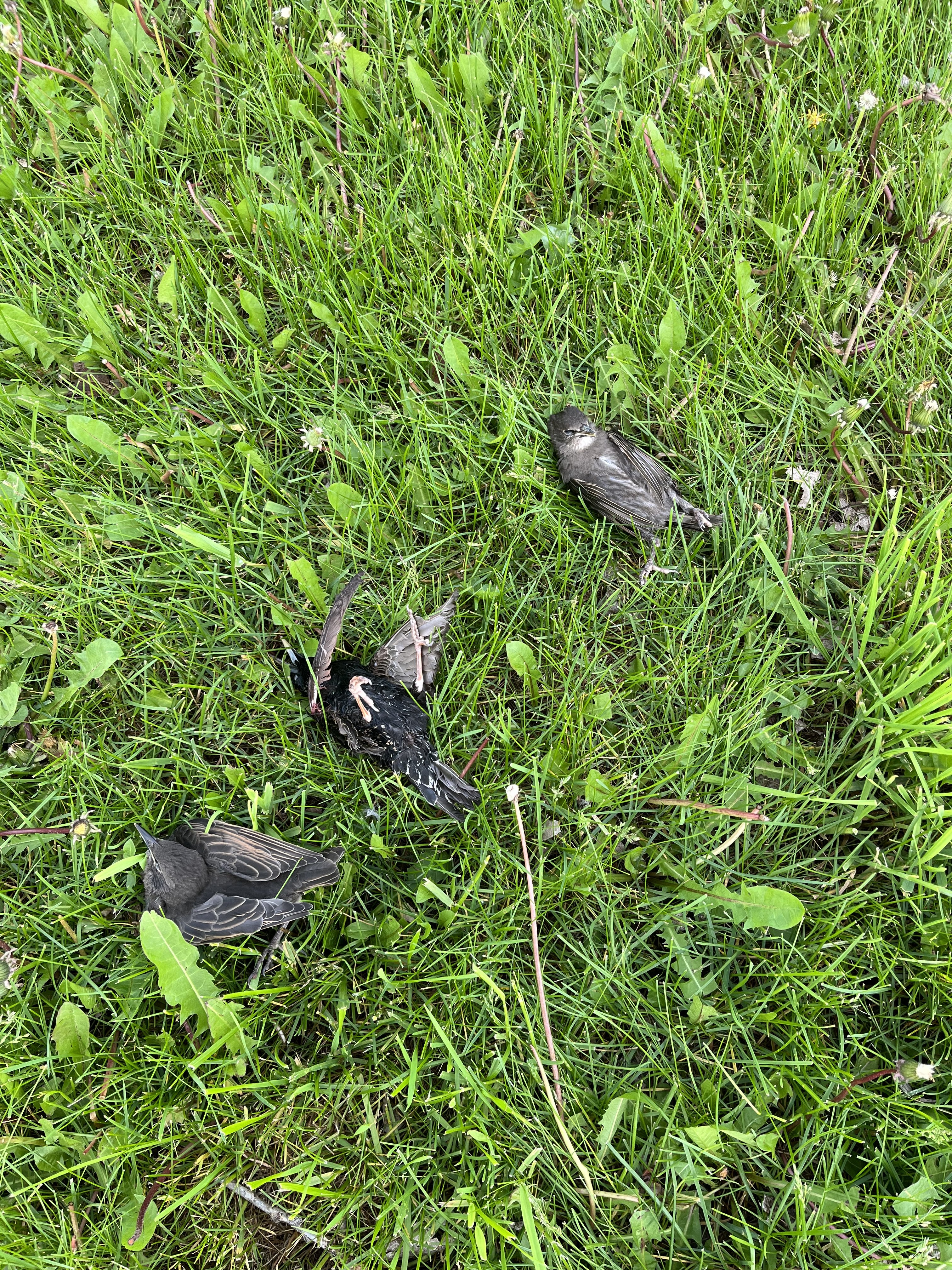 IMG_1194.jpeg