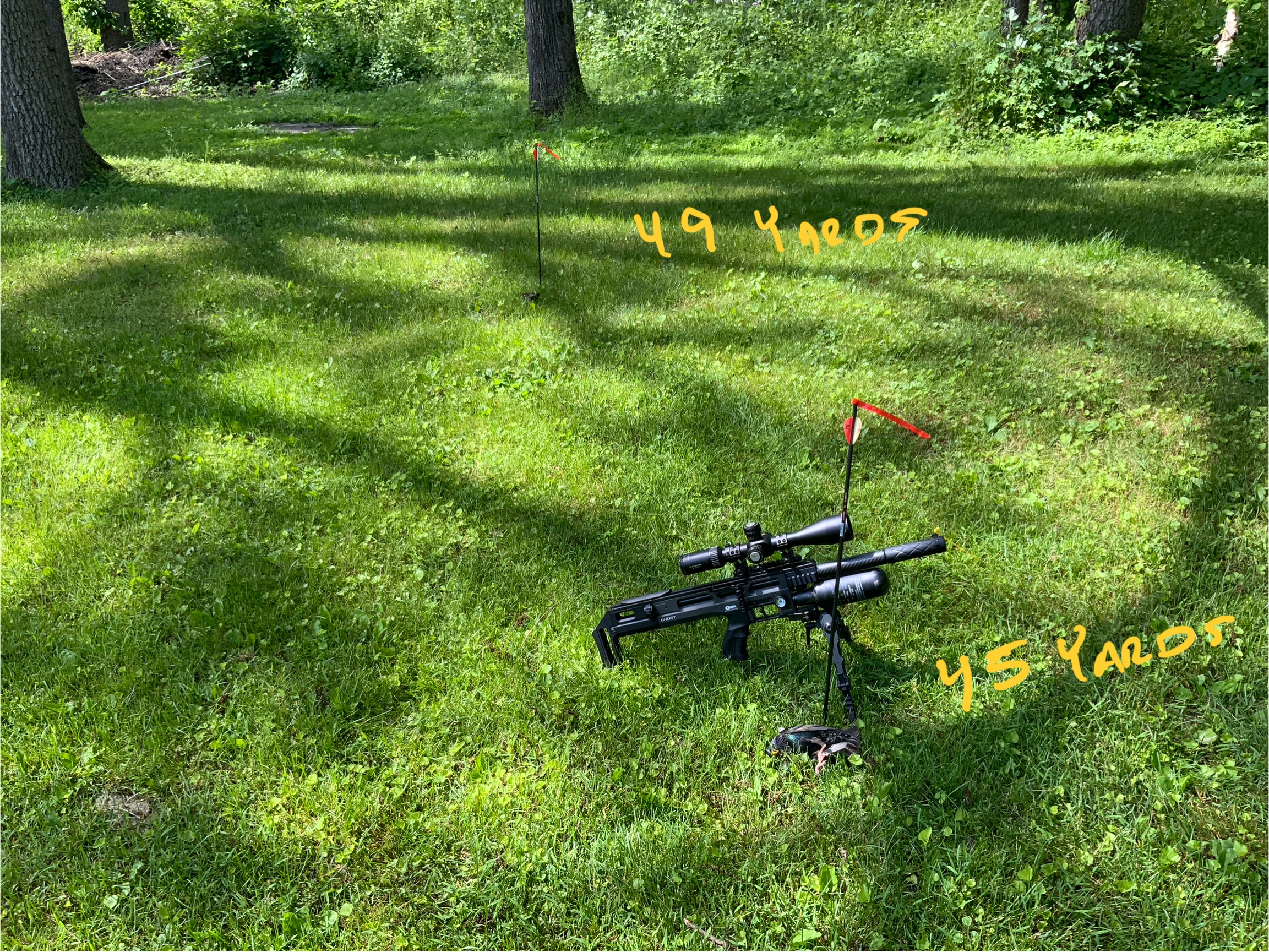 IMG_1481.jpeg