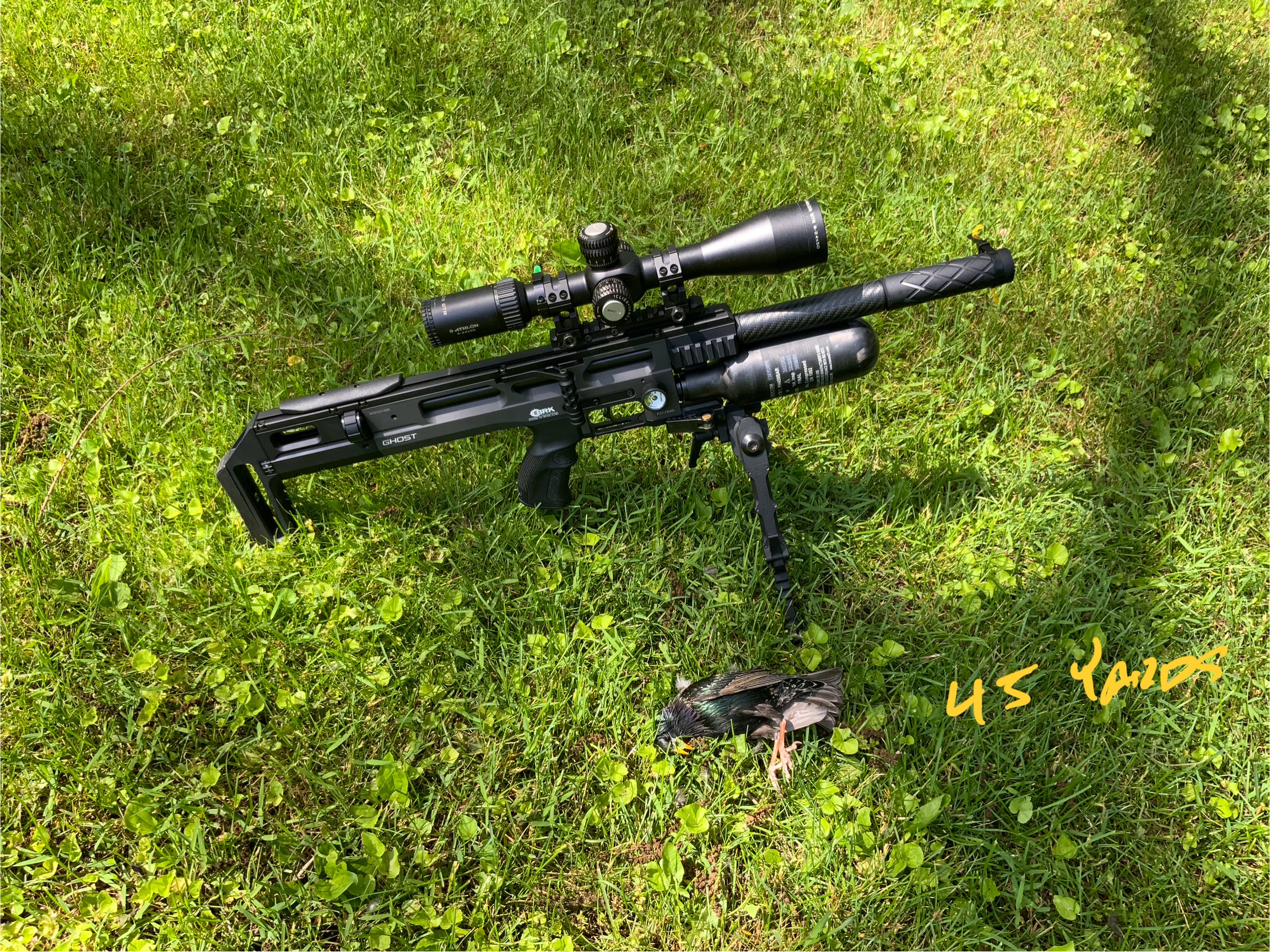 IMG_1482.jpeg