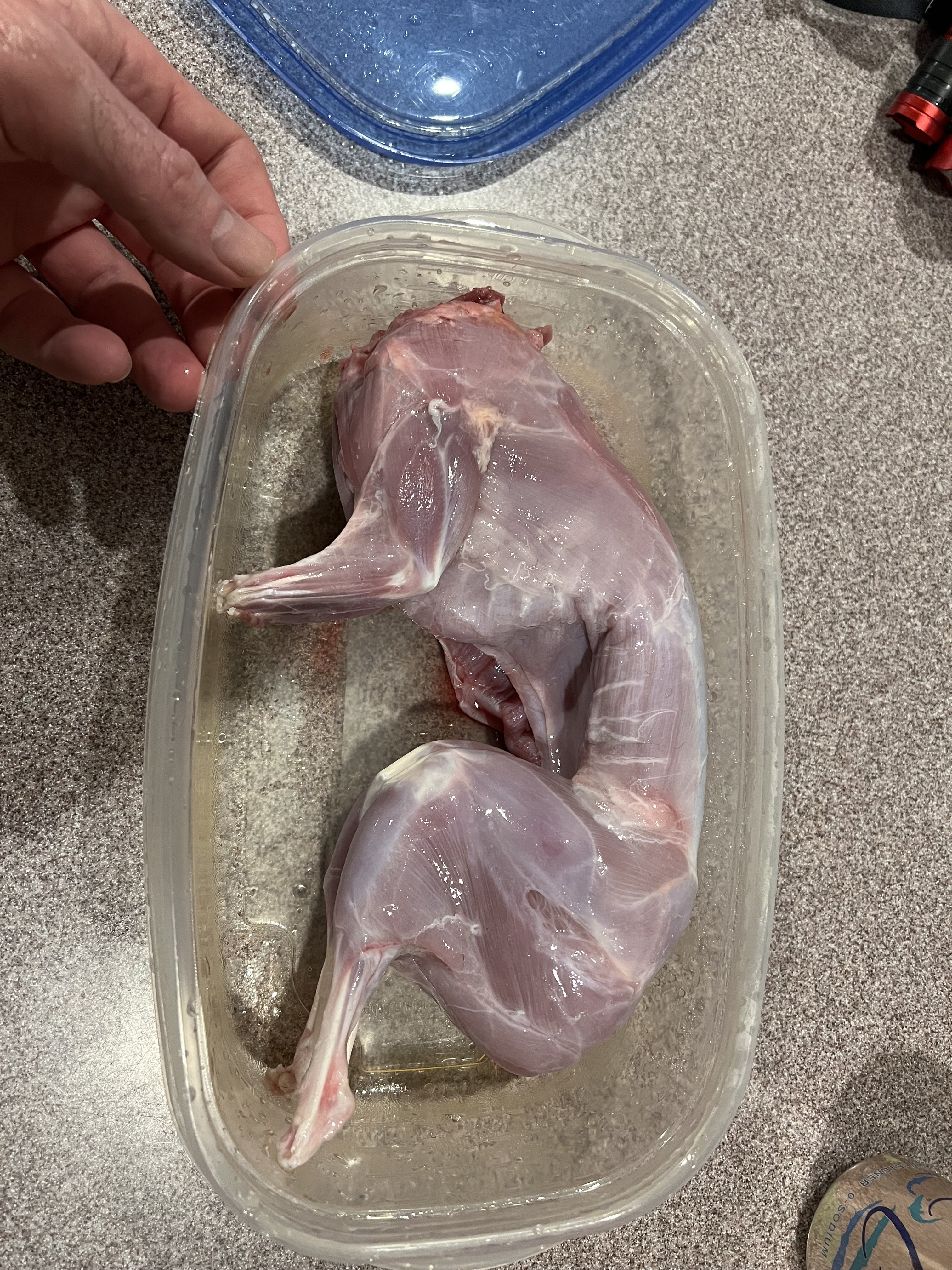 IMG_1644.jpeg