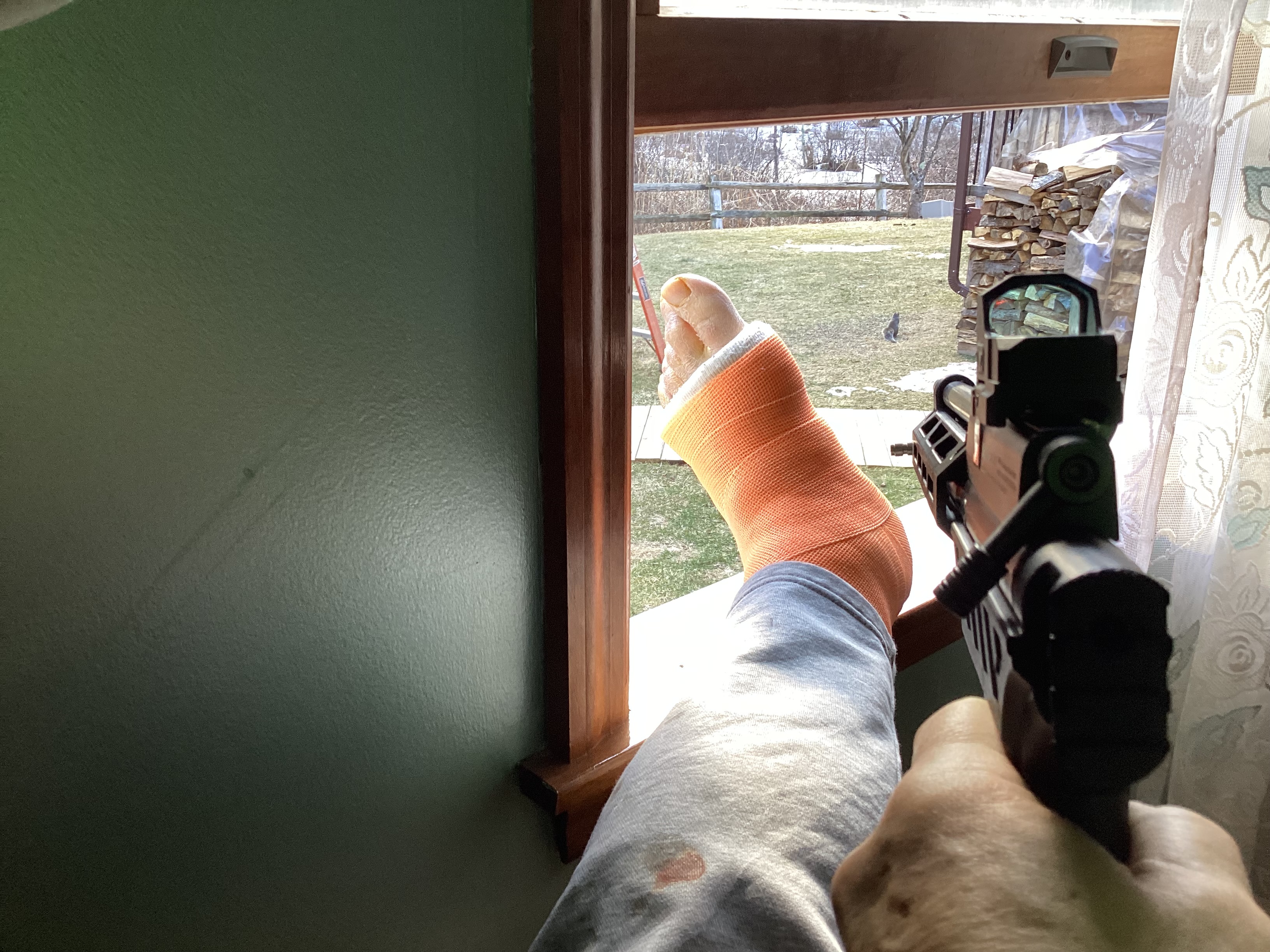 IMG_1775.jpeg