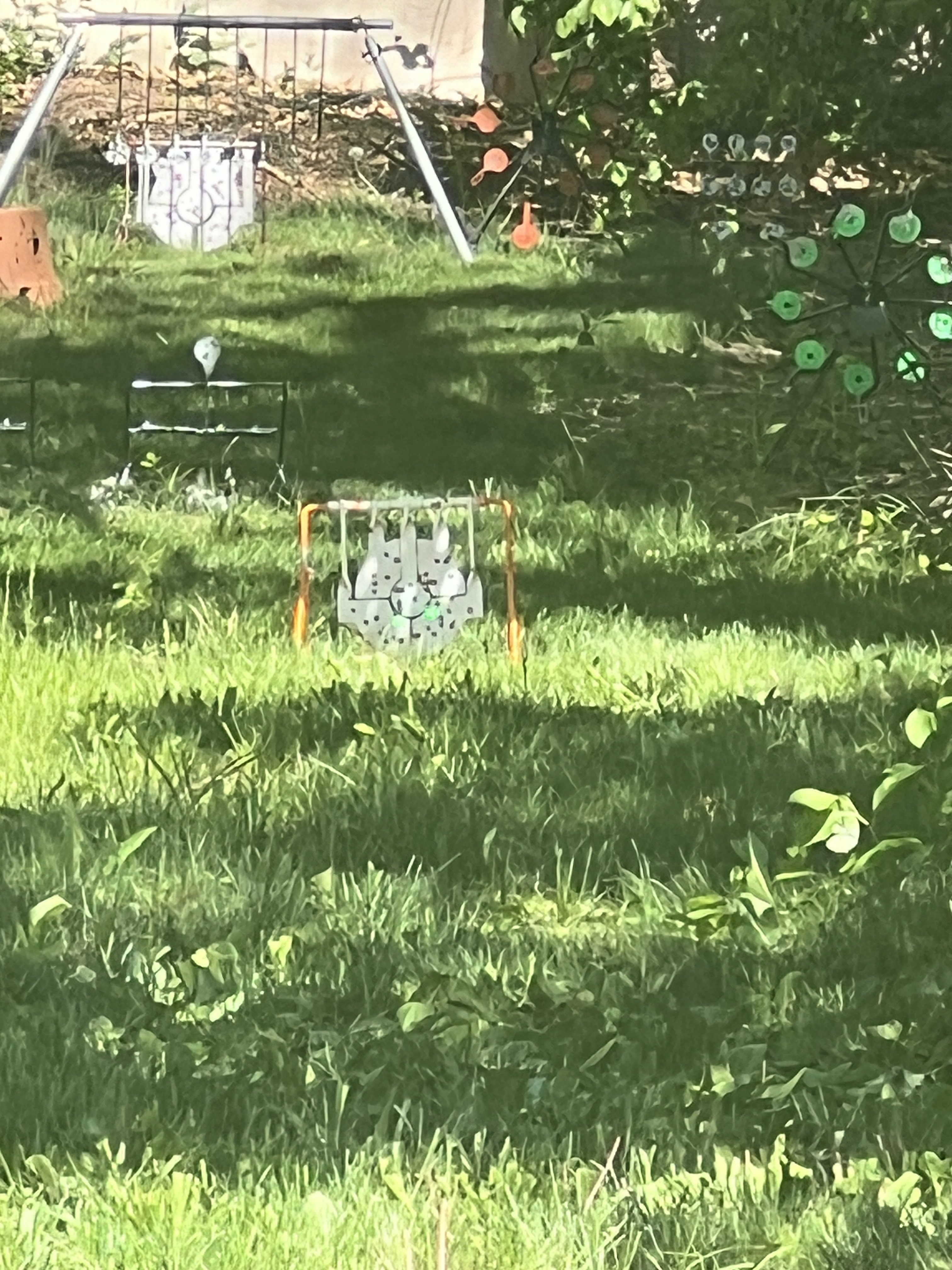 IMG_1775.jpeg