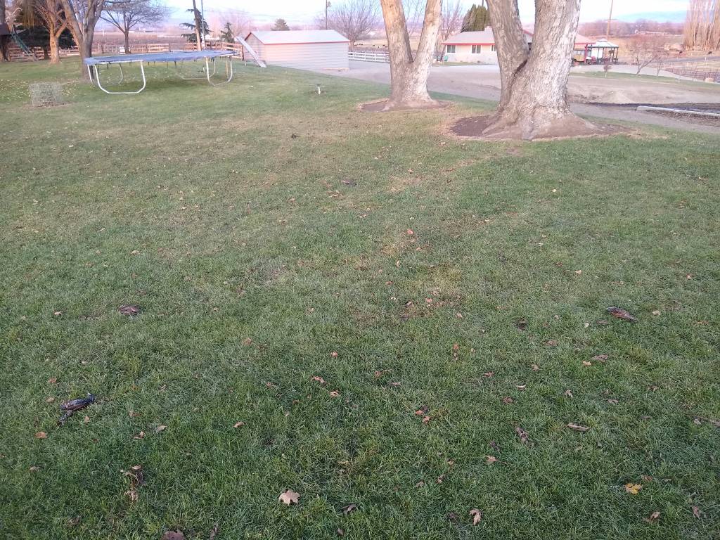 IMG_20201212_155844326.1607876822.jpg