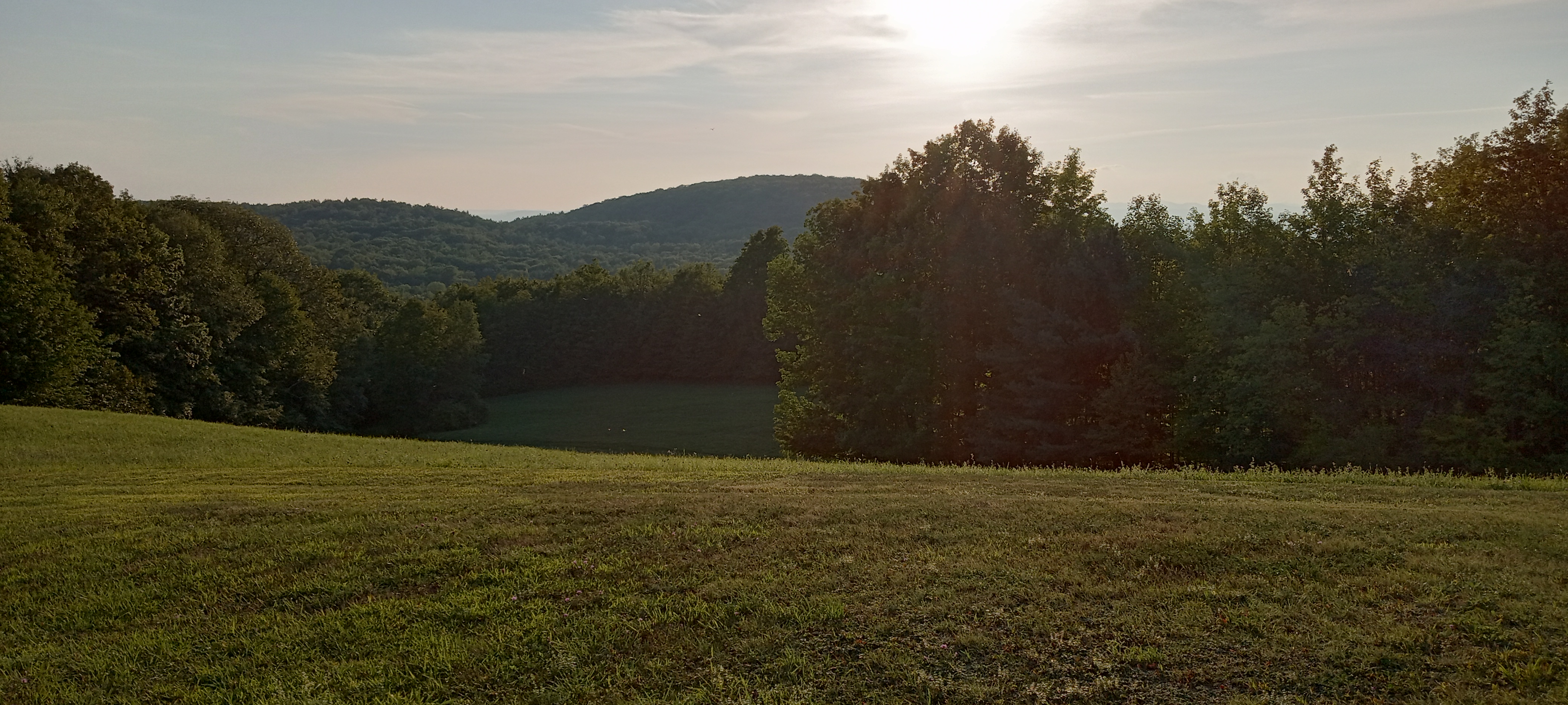 IMG_20220828_183439948_HDR.jpg