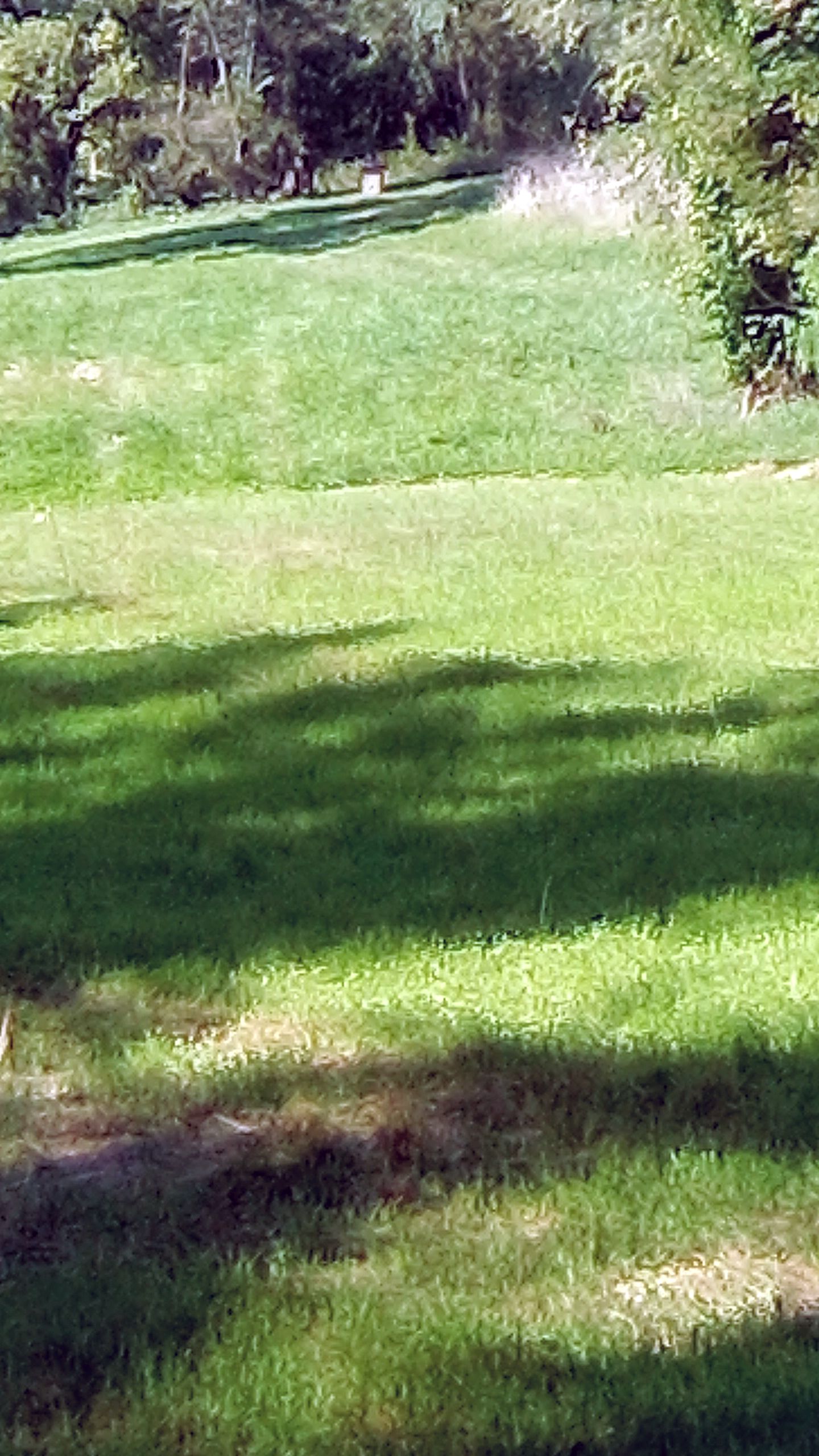 IMG_20220924_155421.jpg