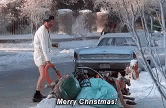IMG_20221225_103039.gif