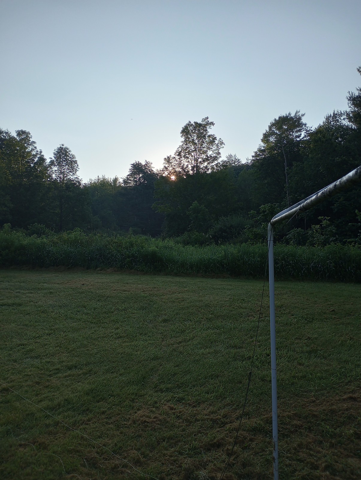 IMG_20230708_064627866_HDR.jpg