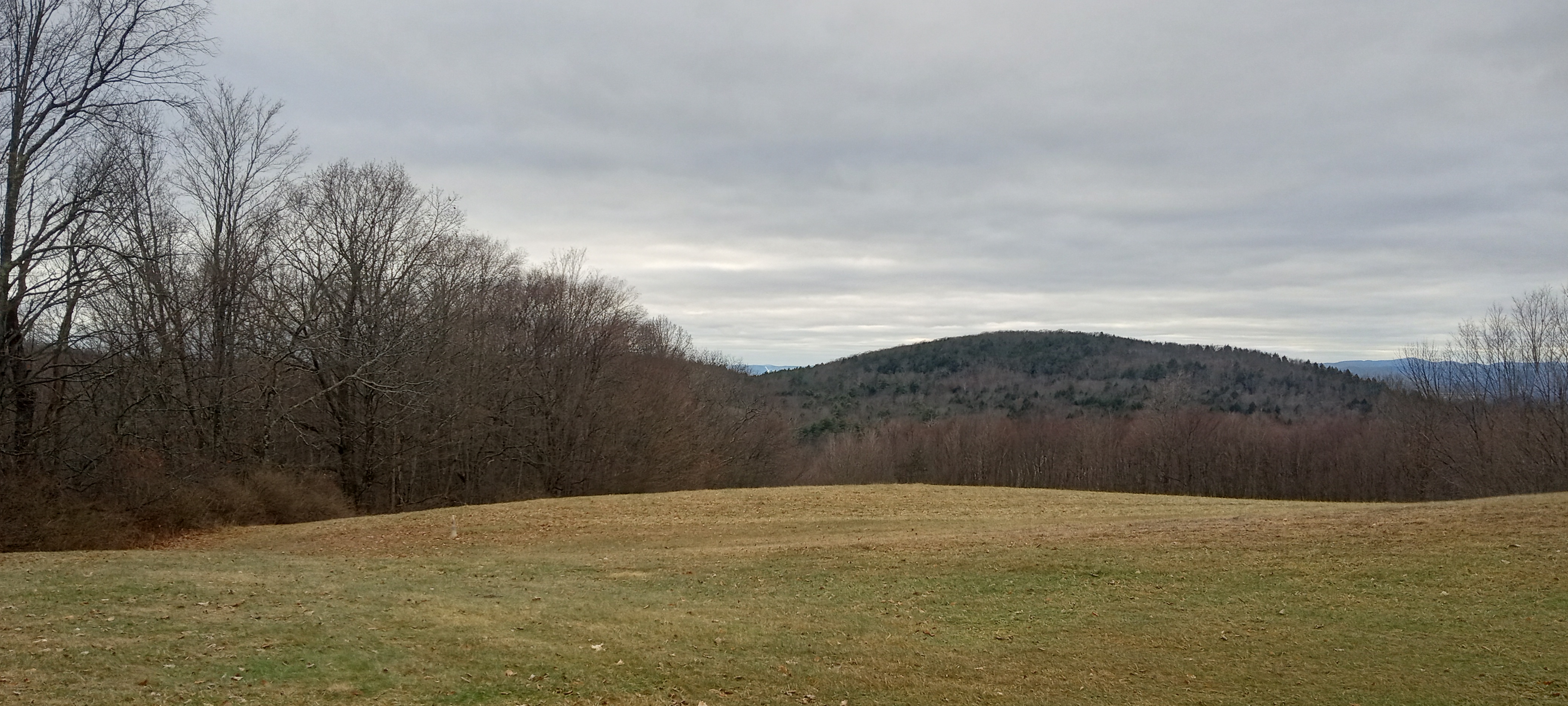 IMG_20231231_142627324_HDR.jpg