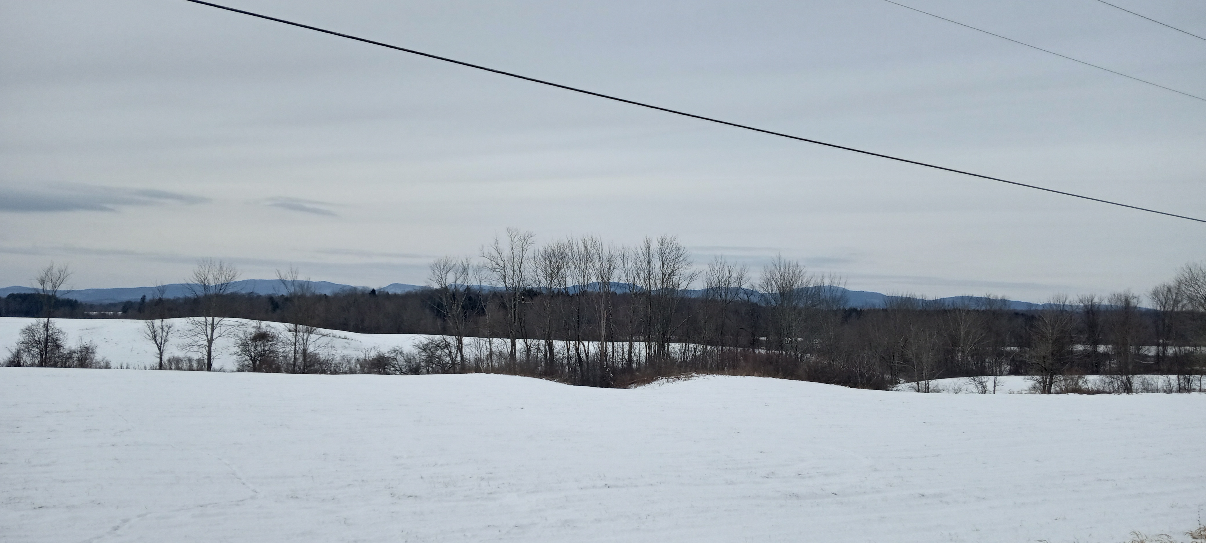 IMG_20240119_140059731_HDR.jpg