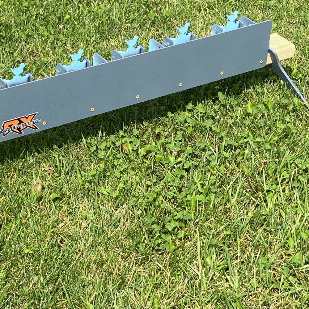 IMG_20240324_111732-ANIMATION.gif
