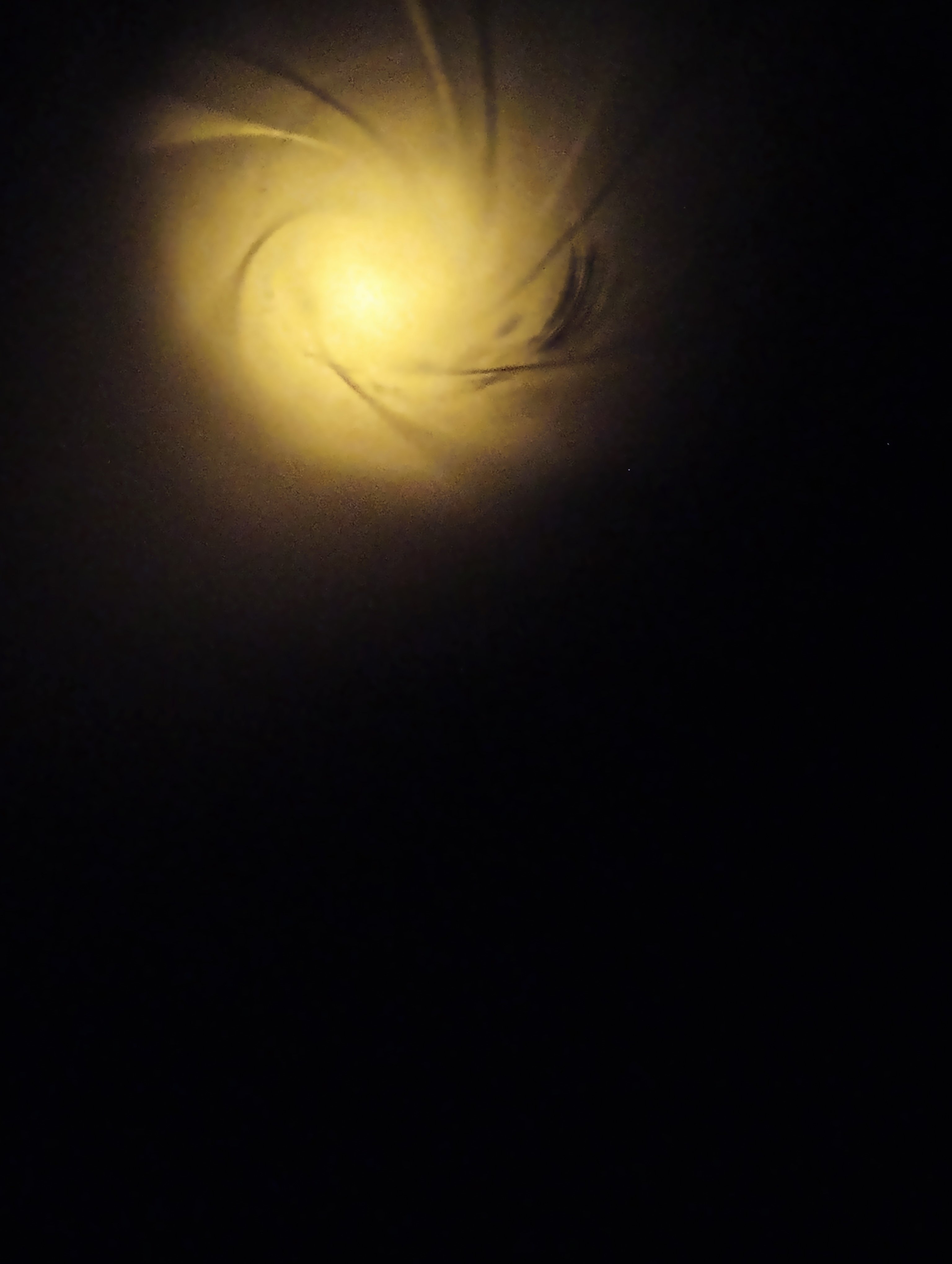 IMG_20240326_084312015.jpg