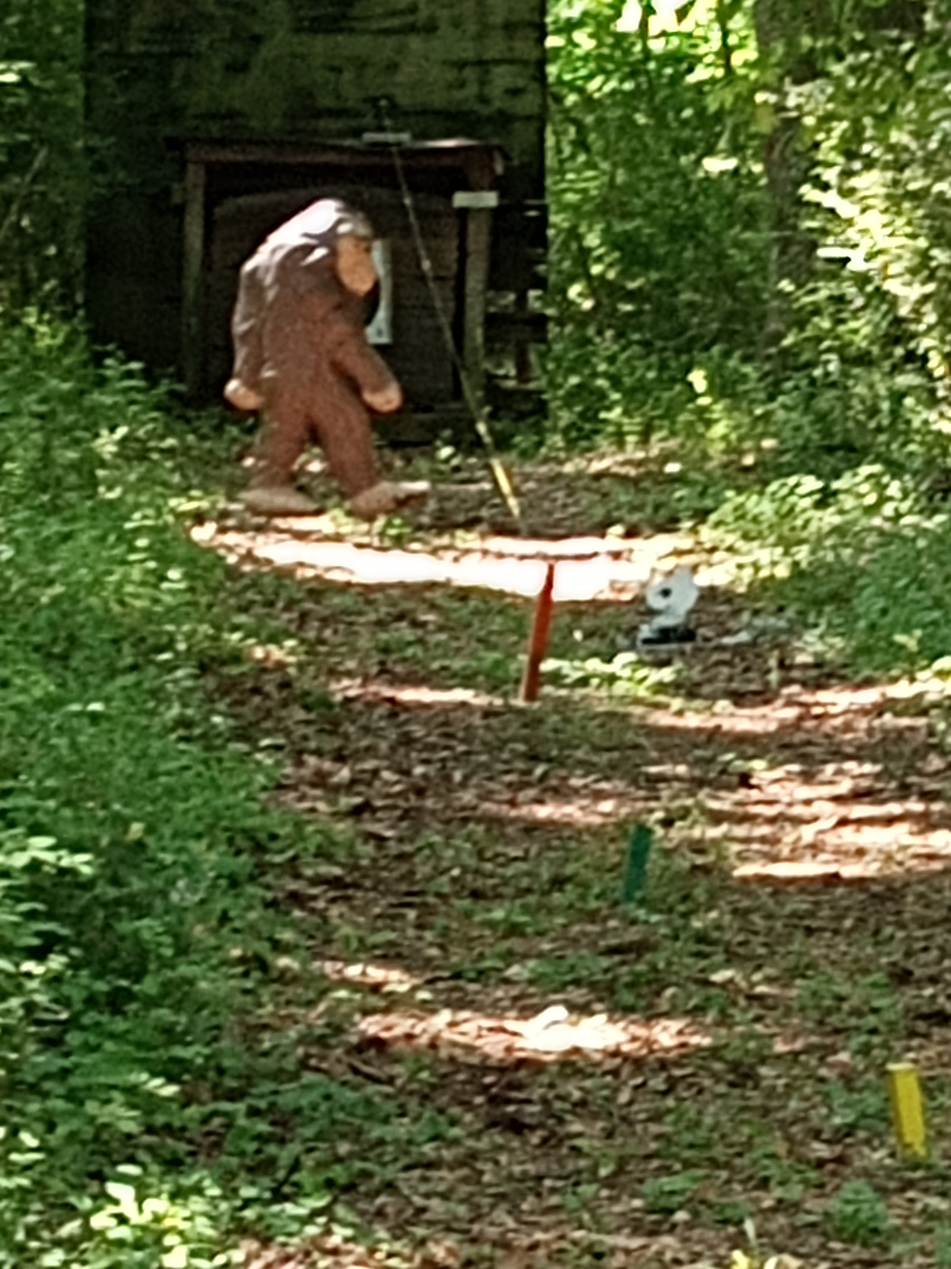 IMG_20240526_104121905.jpg