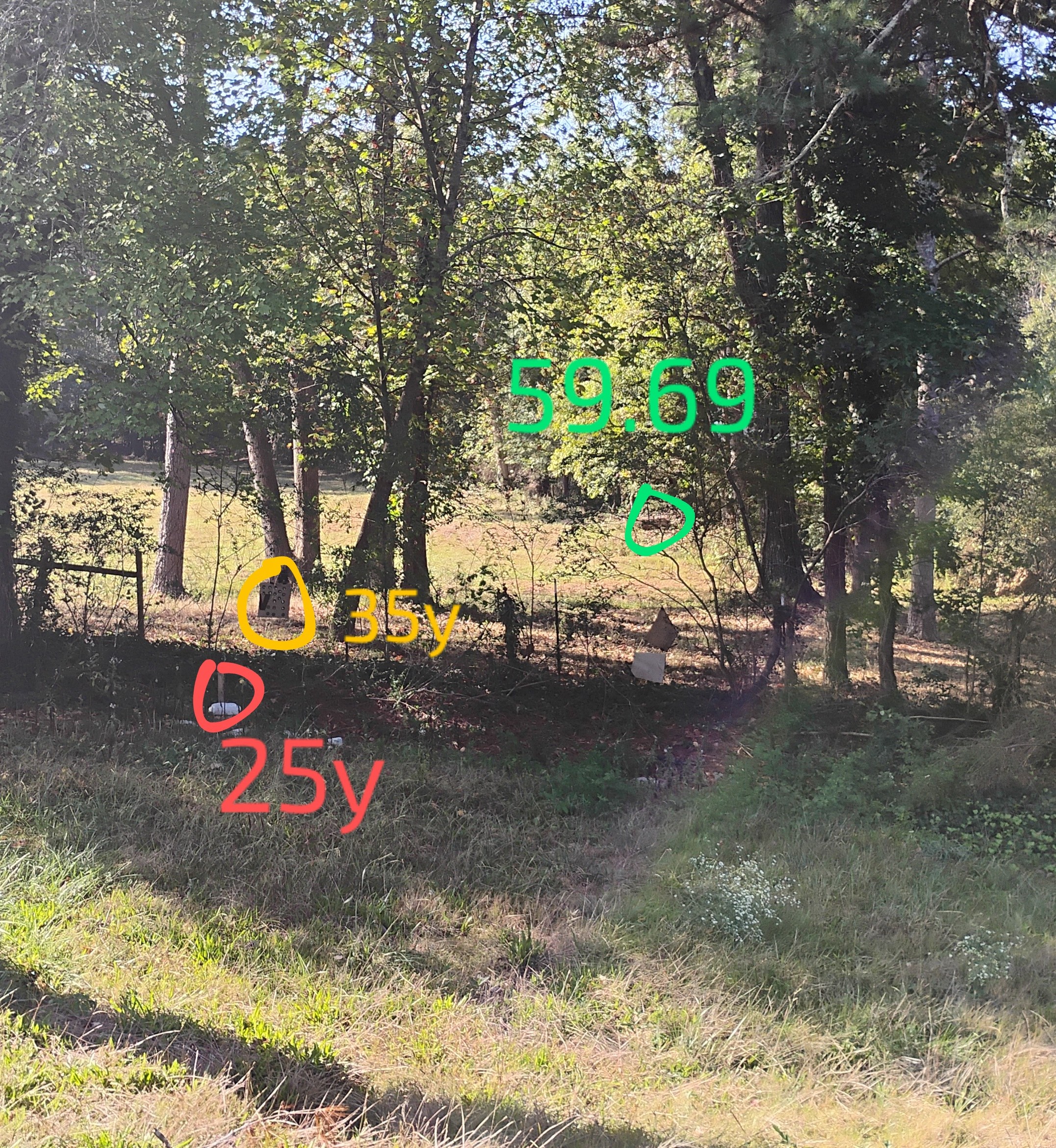 IMG_20241006_104820329_HDR~2.jpg
