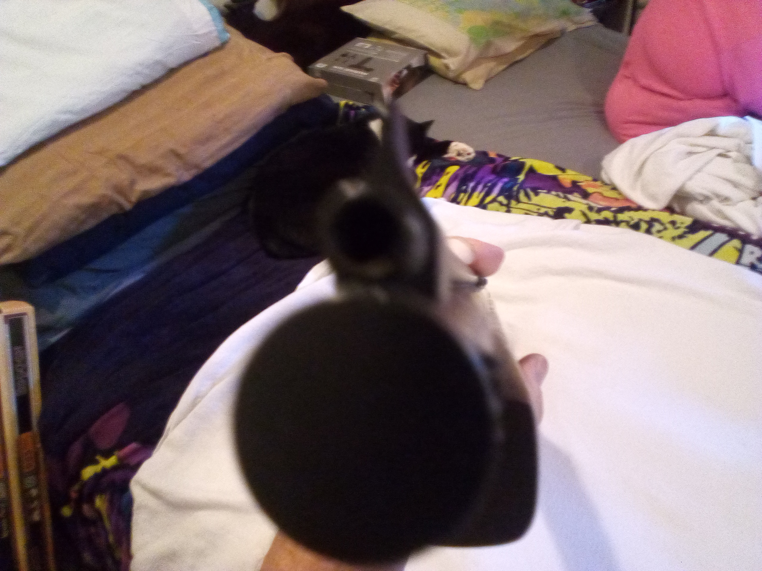 IMG_20250127_111137_907.jpg