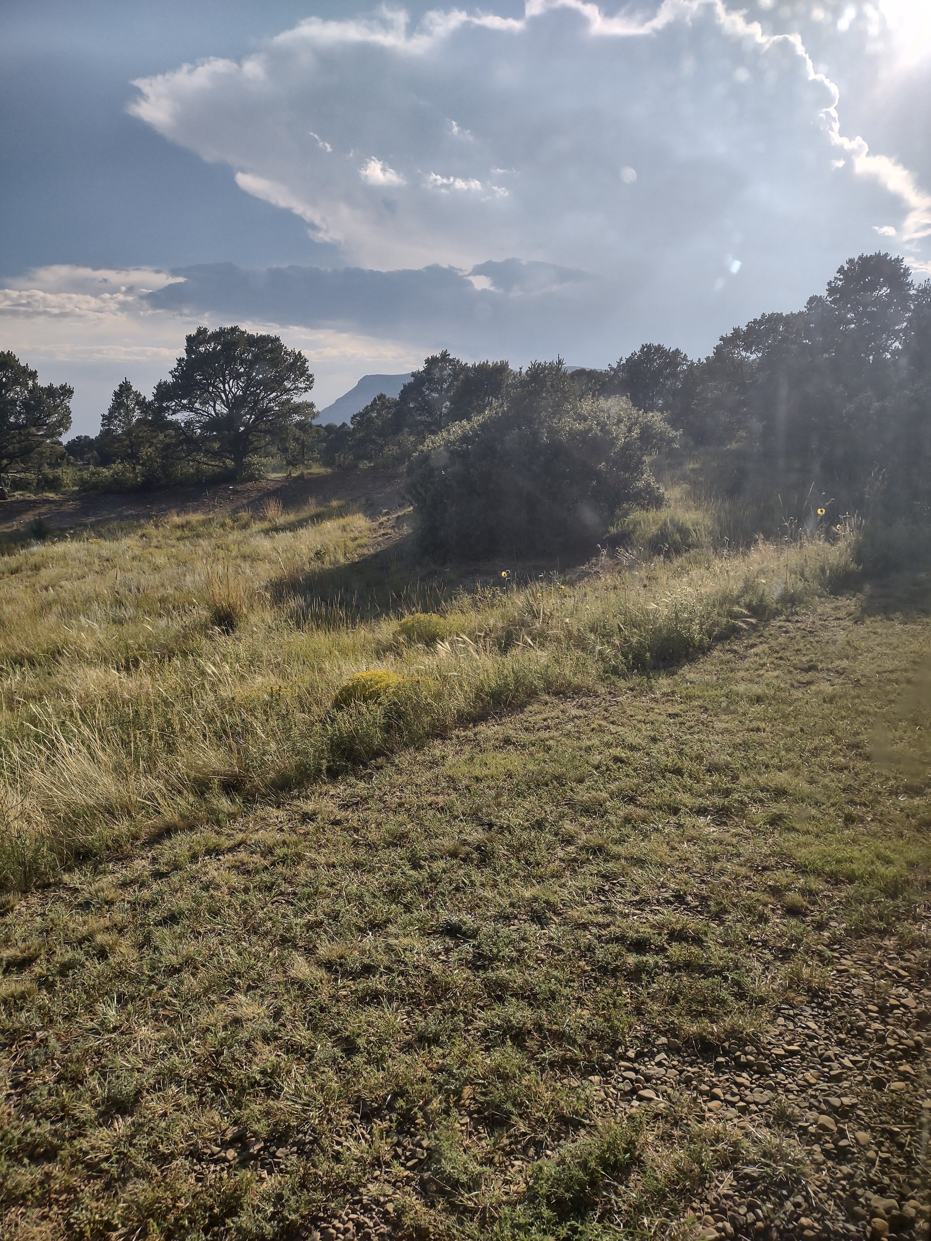 IMG_20250820_175118304_HDR.jpg
