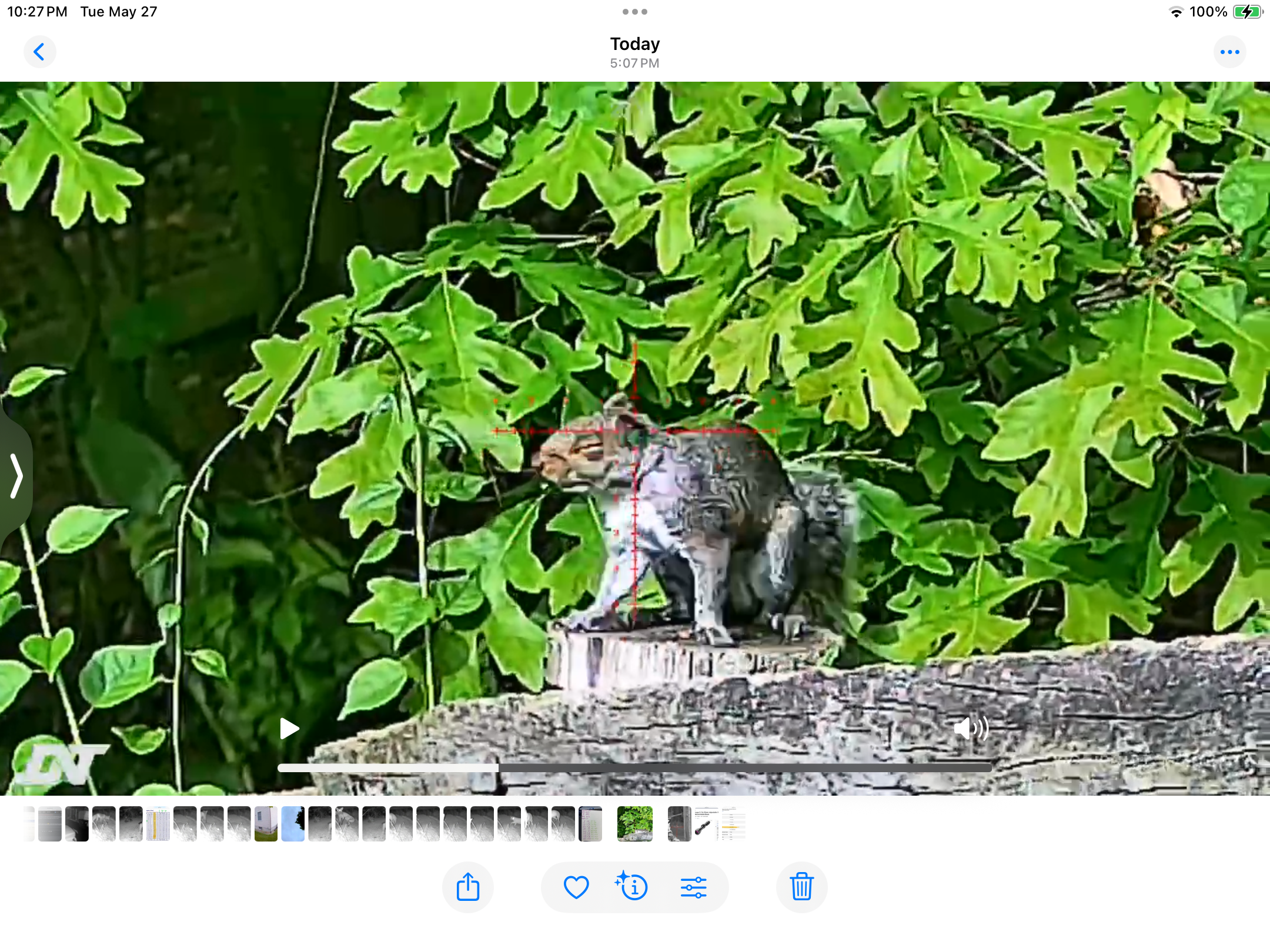 IMG_2120.png