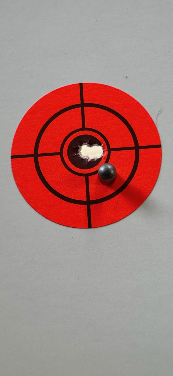 IMG_2202.PNG