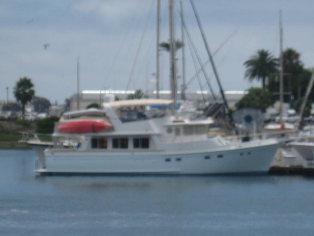 IMG_2379.1620672771.JPG