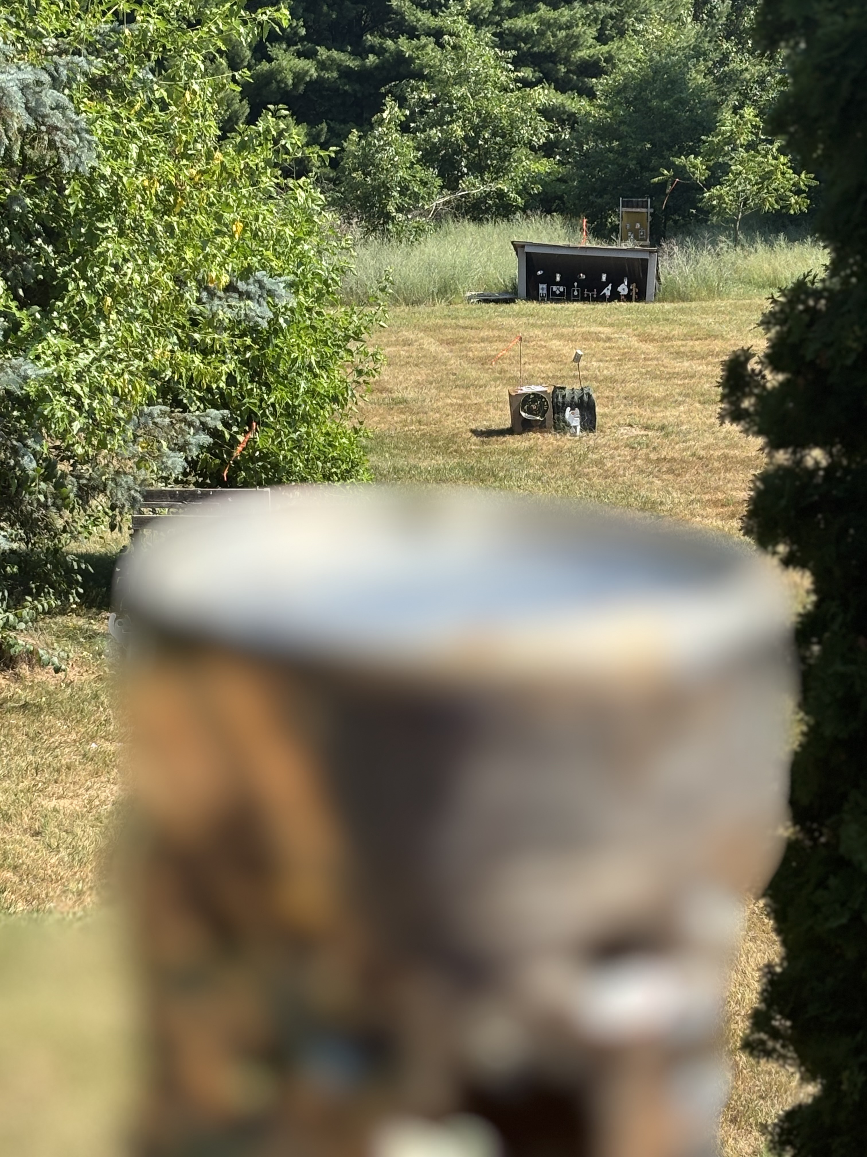 IMG_2393.jpeg