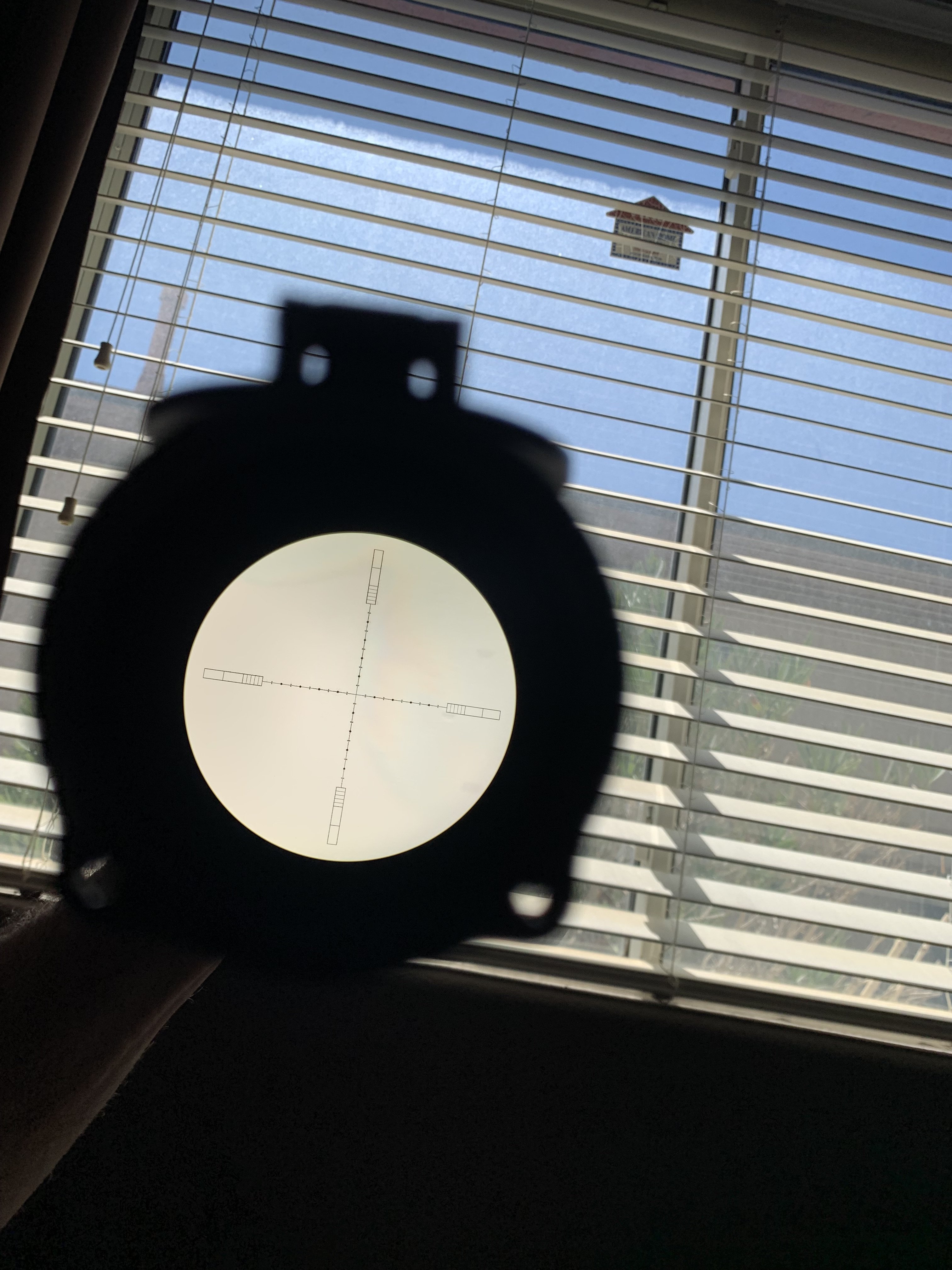 IMG_2494.jpeg