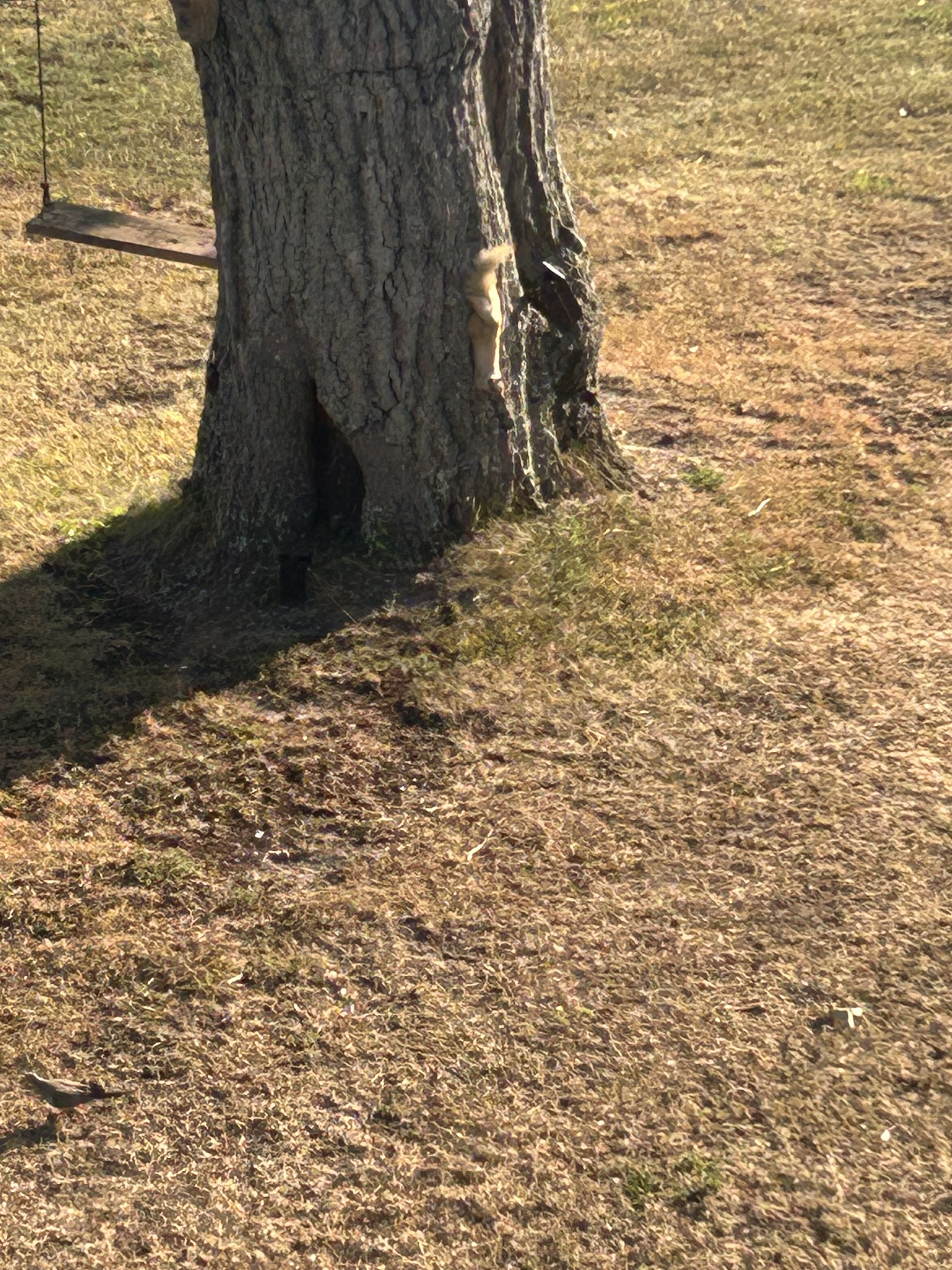 IMG_2608.jpeg
