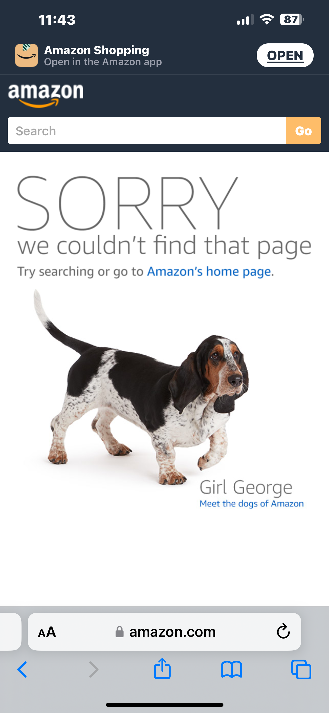 IMG_2857.png
